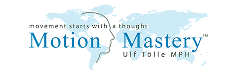 MoMa447-480x150–-1-1-5